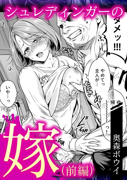 【FANZA 同人 漫画】シュレティンガーの嫁（前編）オススメ レビュー