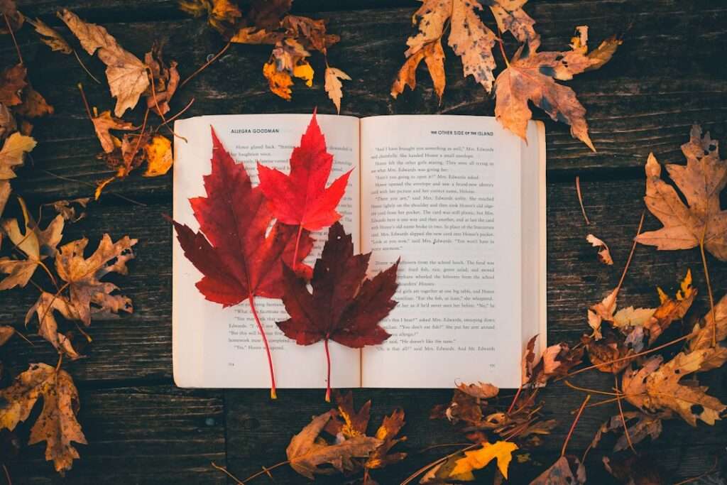 秋の読書と本のイメージ写真（撮影 Nong / Unsplash）